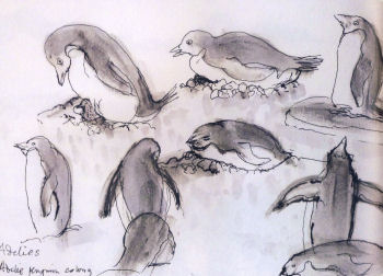 Journey to Antarctica Sketchbook by Jenny Pery Journey to Antarctica Sketchbook by Jenny Pery