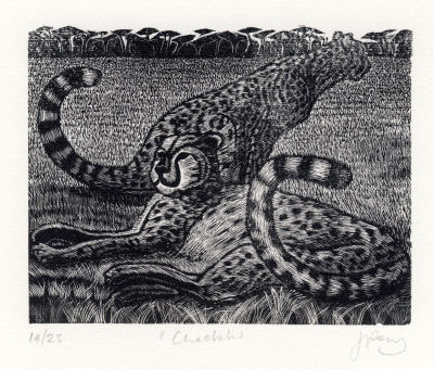 Wood Engraving by Jenny Pery Wood Engraving by Jenny Pery