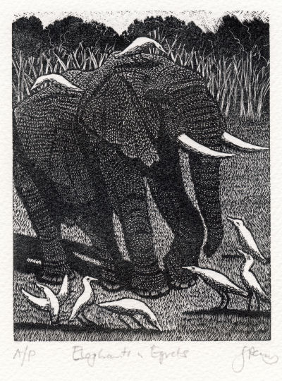 Wood Engraving by Jenny Pery Wood Engraving by Jenny Pery